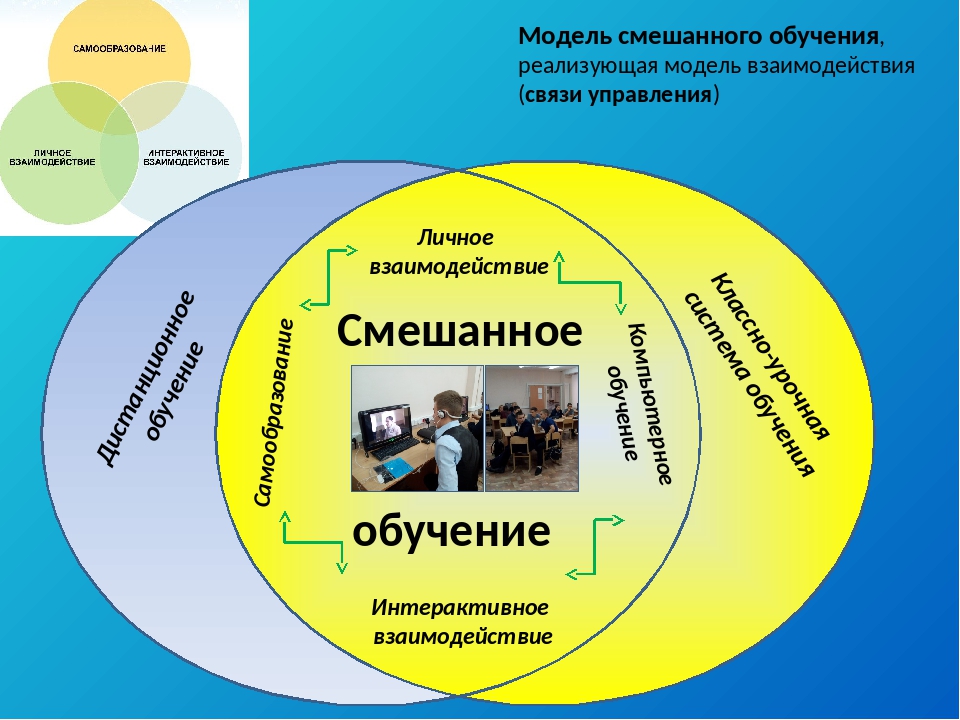 Lusana ru учебные презентации