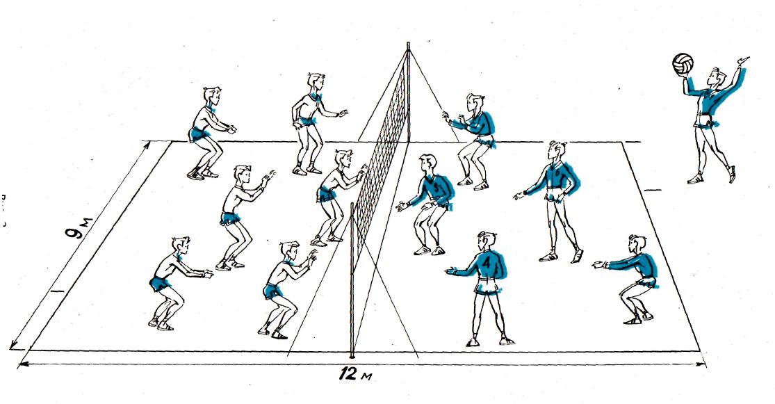 Волейбол расстановка игроков на площадке схема
