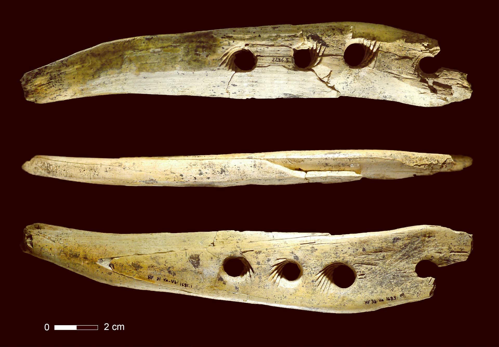 Мы видим в костяных коньках найденных археологами. Костяной гарпун Неолит. Палеолит музыкальные инструменты из костей мамонта. Орудия из кости. Орудия труда из кости.