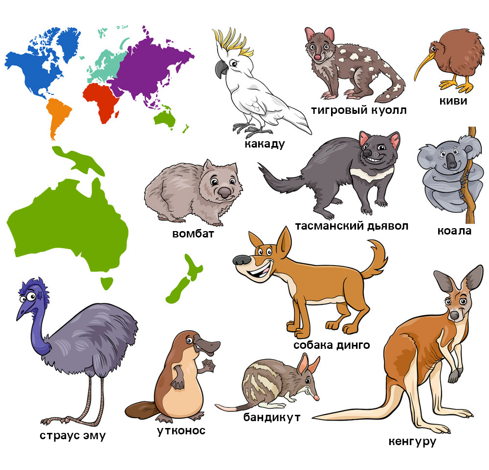 Животные Австралии вектор