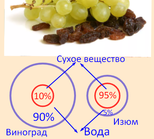 Сколько килограммов винограда потребуется для получения