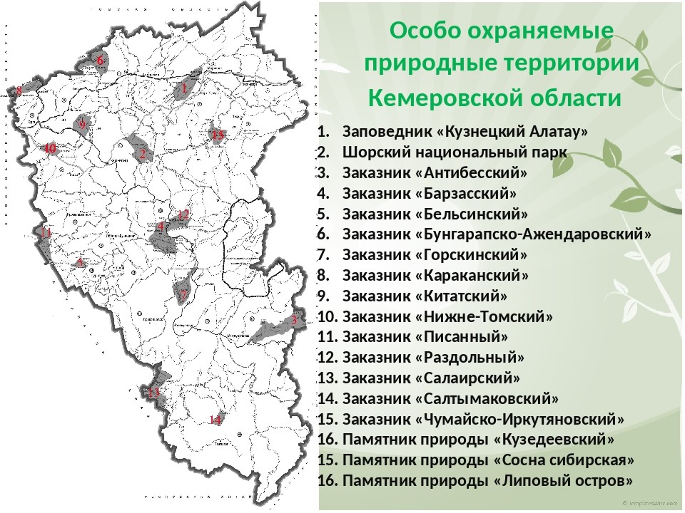 Заповедники кузбасса презентация