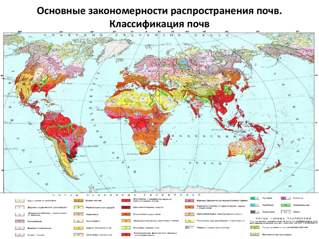 Карта типов почв