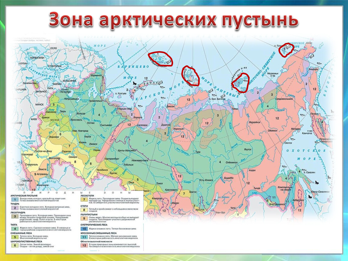 Природная зона пустыня расположение. Зона арктических пустынь на карте России. Карта природных зон России арктические пустыни. Зона арктических пустынь на карте 4 класс. Зона арктических пустынь на контурной карте России.