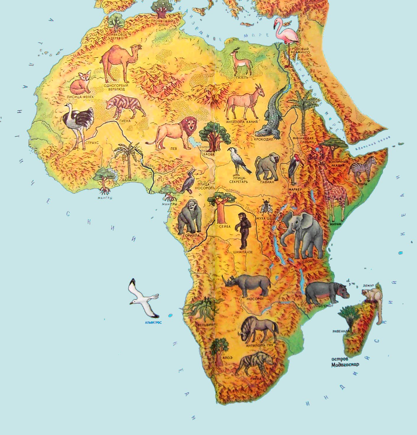Африки животный география. Континент Африка физическая карта для детей. Карта растительности Африки. Африка материк на карте для детей. Материк Африка для детей.