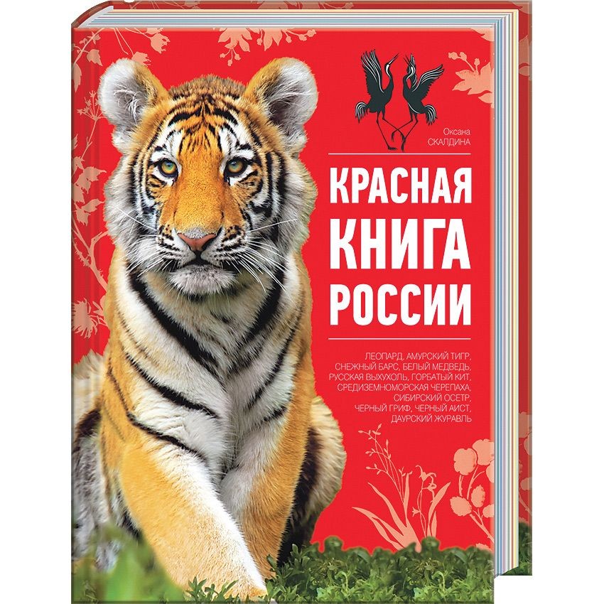 Растения занесенные в Красную книгу Удмуртии