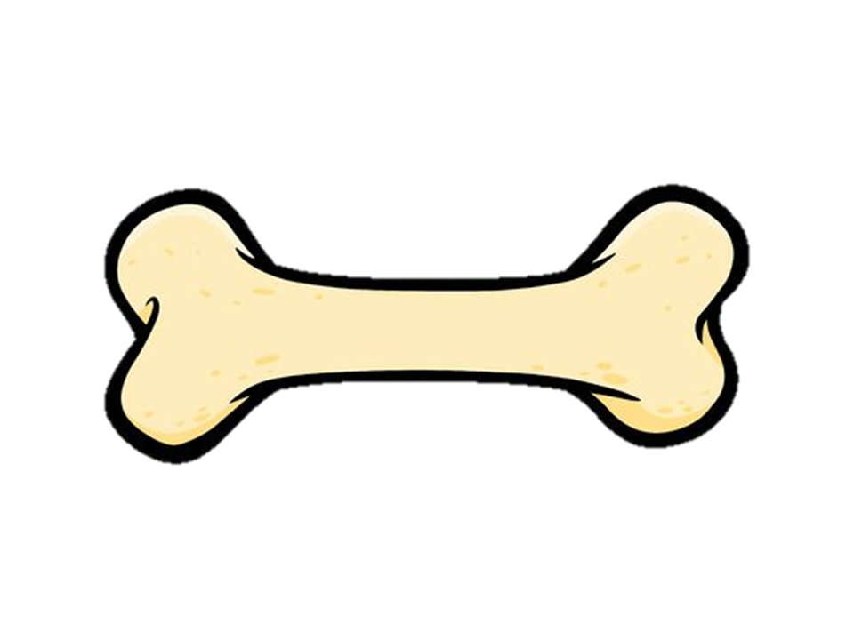 Покажи картинки кости. Косточка для собак. Косточка для детей. Собачья кость. Косточка шаблон.